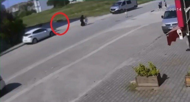 Başıboş köpek terörü bitmiyor! Küçük kız canından oluyordu