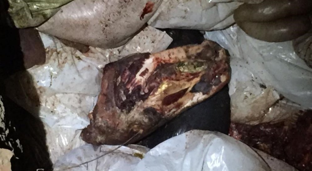 İzmir’de at eti alarmı! 3 bin 660 kilo çürümeye yüz tutmuş at eti ele geçirildi