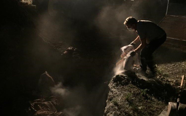 İzmir’de at eti alarmı! 3 bin 660 kilo çürümeye yüz tutmuş at eti ele geçirildi