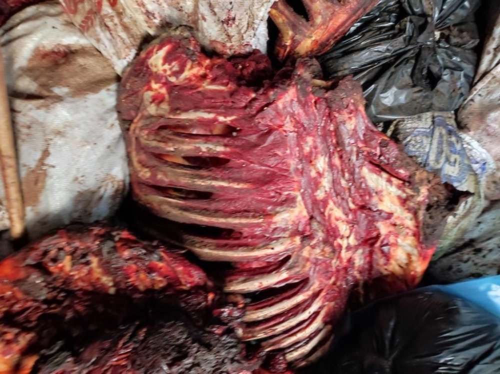 İzmir’de at eti alarmı! 3 bin 660 kilo çürümeye yüz tutmuş at eti ele geçirildi