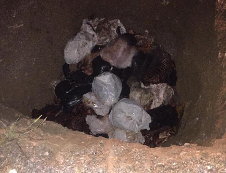 İzmir’de at eti alarmı! 3 bin 660 kilo çürümeye yüz tutmuş at eti ele geçirildi