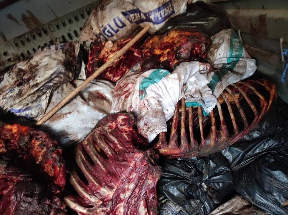 İzmir’de at eti alarmı! 3 bin 660 kilo çürümeye yüz tutmuş at eti ele geçirildi