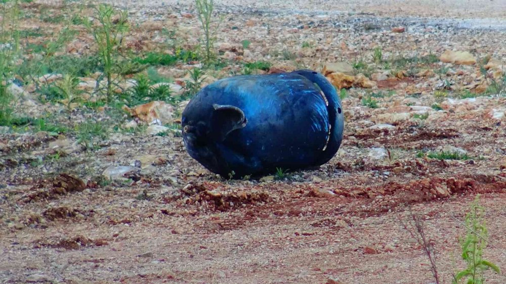 Konya'dan yola çıkarak Ermenek'te devrilen kamyonet alev alev yandı! Tüpler bomba gibi patladı