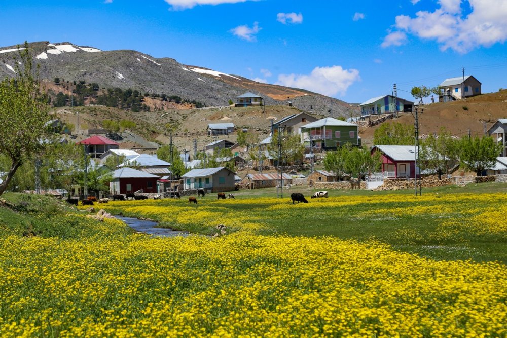 Konya'nın Toros Dağları üzerine kurulu Hisarlık yaylasında görsel şölen..