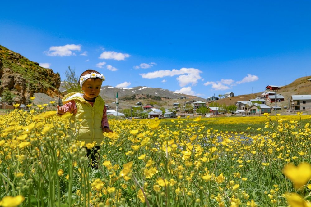 Konya'nın Toros Dağları üzerine kurulu Hisarlık yaylasında görsel şölen..