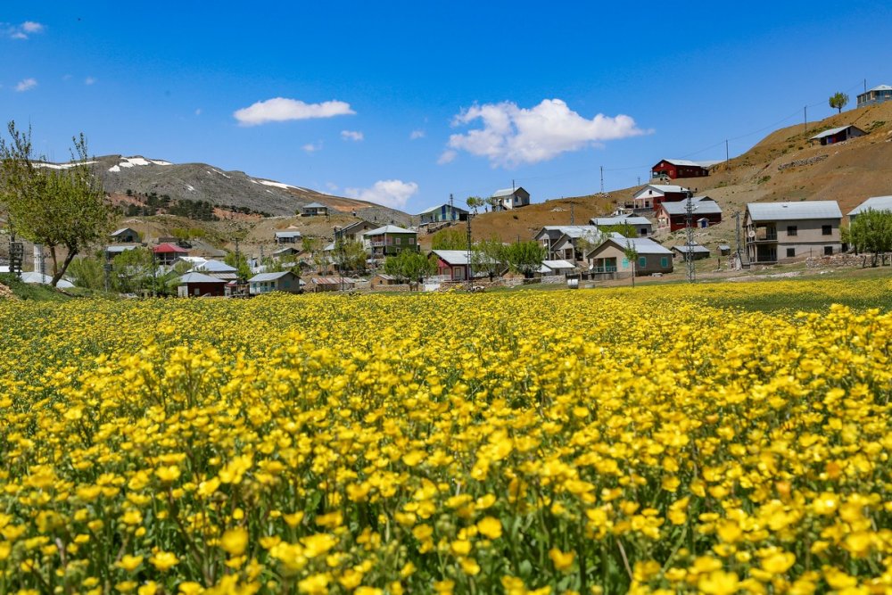 Konya'nın Toros Dağları üzerine kurulu Hisarlık yaylasında görsel şölen..