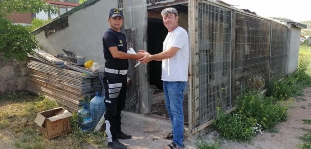 Eskişehir'de misafir diye evine aldığı adam 8 güvercinini çalarak Konya'ya getirdi