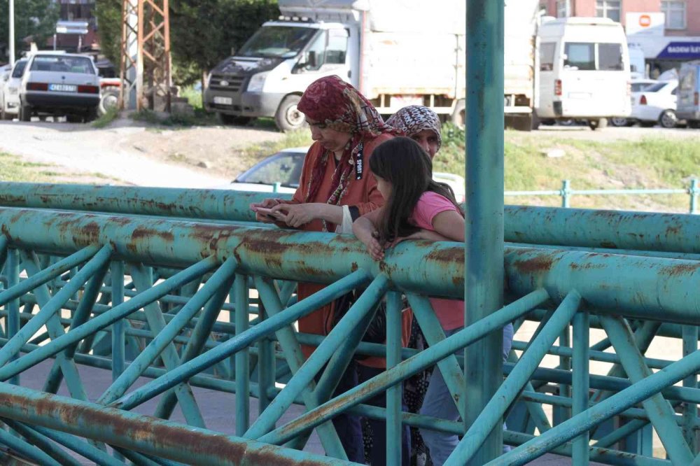 Konya'da yılanlar şov yaptı! Vatandaş gözünü alamıyor
