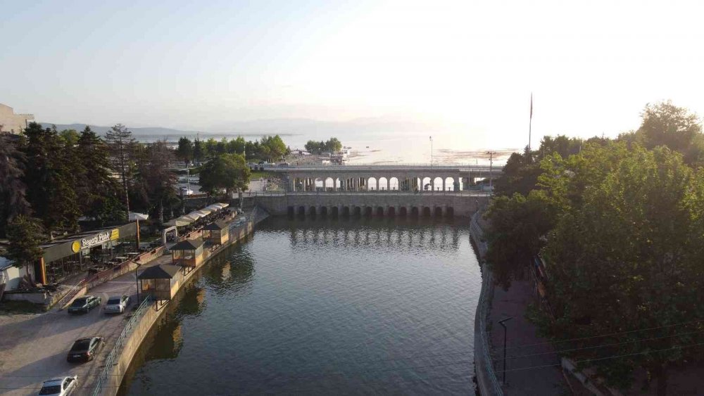 Konya'da yılanlar şov yaptı! Vatandaş gözünü alamıyor