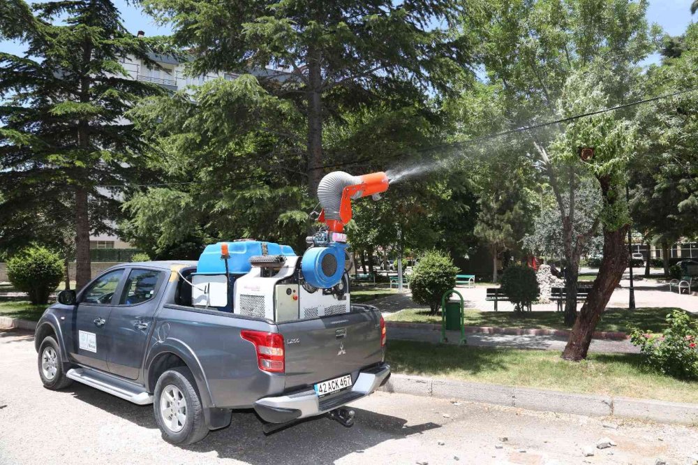 Konya'da sıcak bastı haşereler ortaya çıktı! Meram’da haşere ihbar hattı duyuruldu