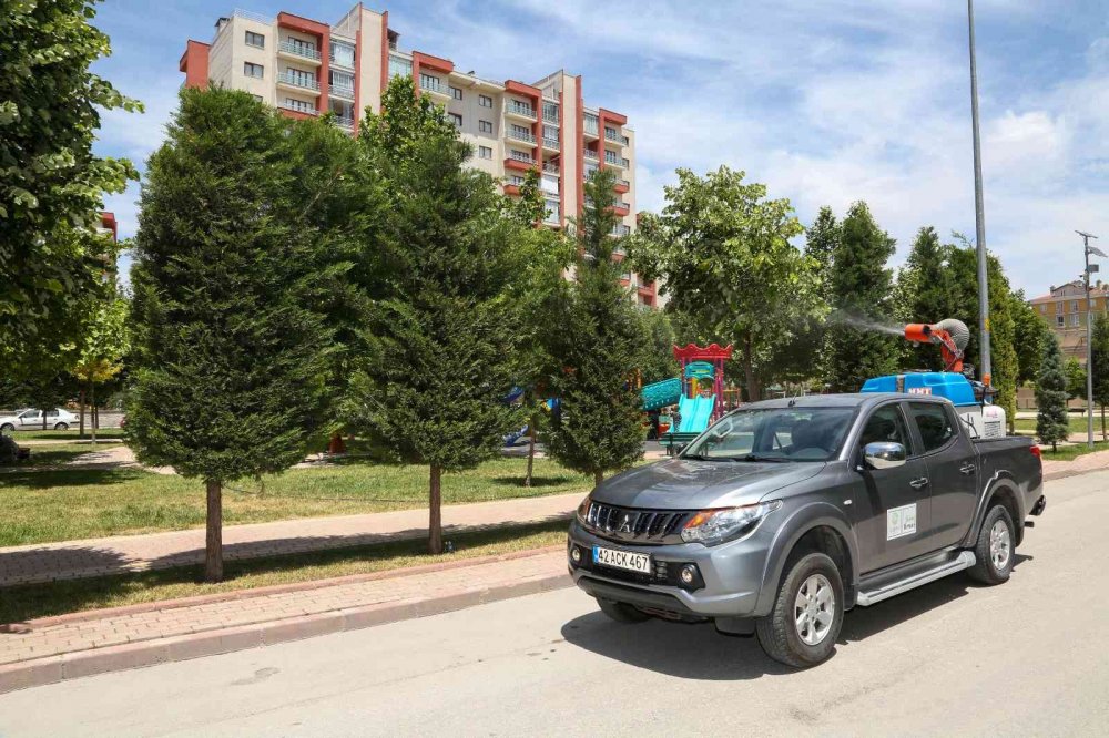 Konya'da sıcak bastı haşereler ortaya çıktı! Meram’da haşere ihbar hattı duyuruldu