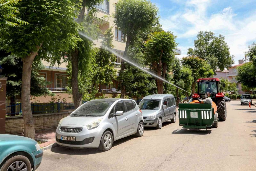 Konya'da sıcak bastı haşereler ortaya çıktı! Meram’da haşere ihbar hattı duyuruldu