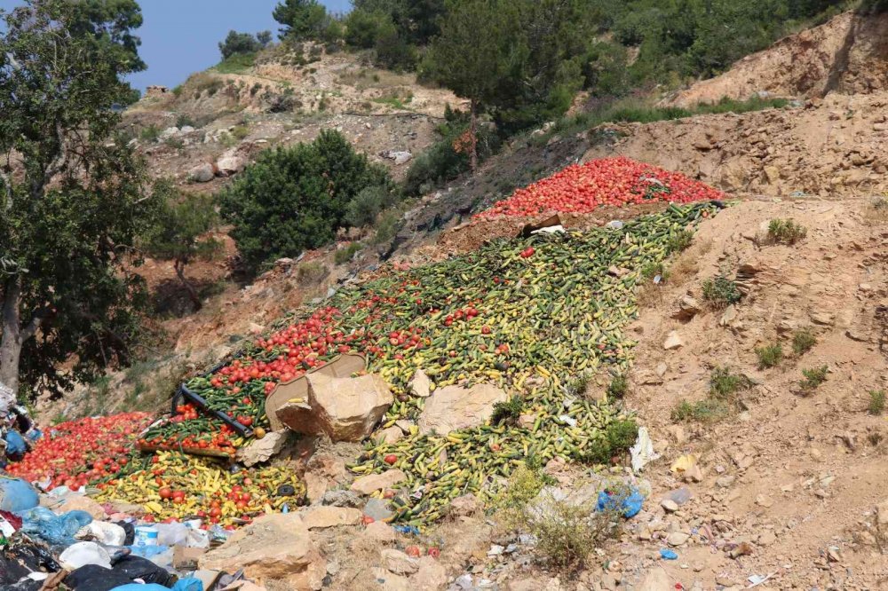 Antalya’da çöpe dökülen tonlarca taze sebze tepki çekmişti! Açıklama geldi