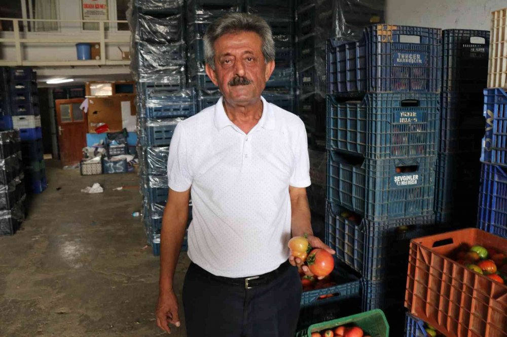 Antalya’da çöpe dökülen tonlarca taze sebze tepki çekmişti! Açıklama geldi