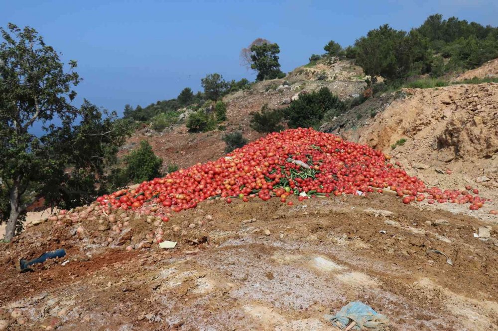 Antalya’da çöpe dökülen tonlarca taze sebze tepki çekmişti! Açıklama geldi