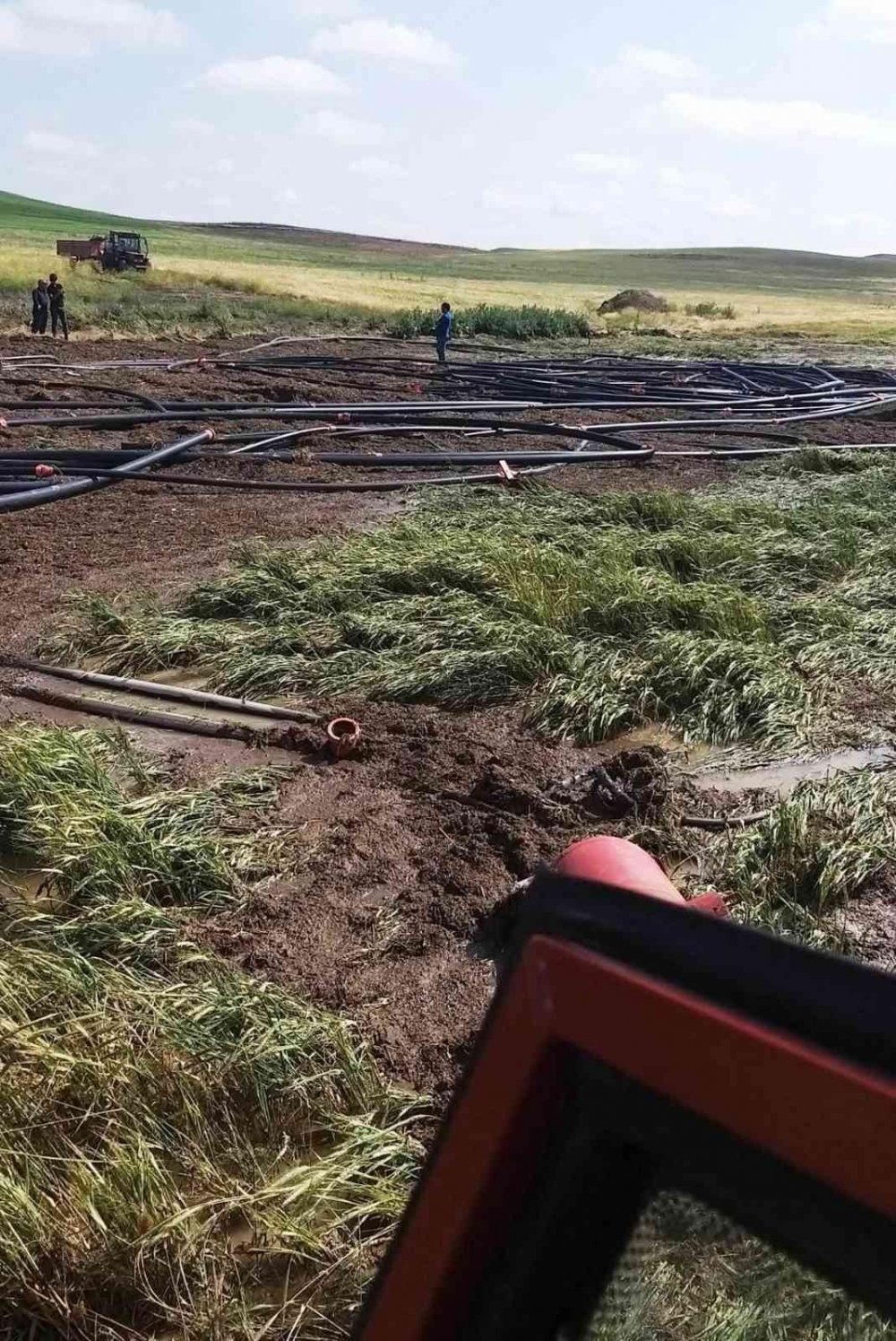 Konya'da şiddetli yağış ve dolu! Sadece bir ilçede 3 bin dekar ekili alan hasar gördü