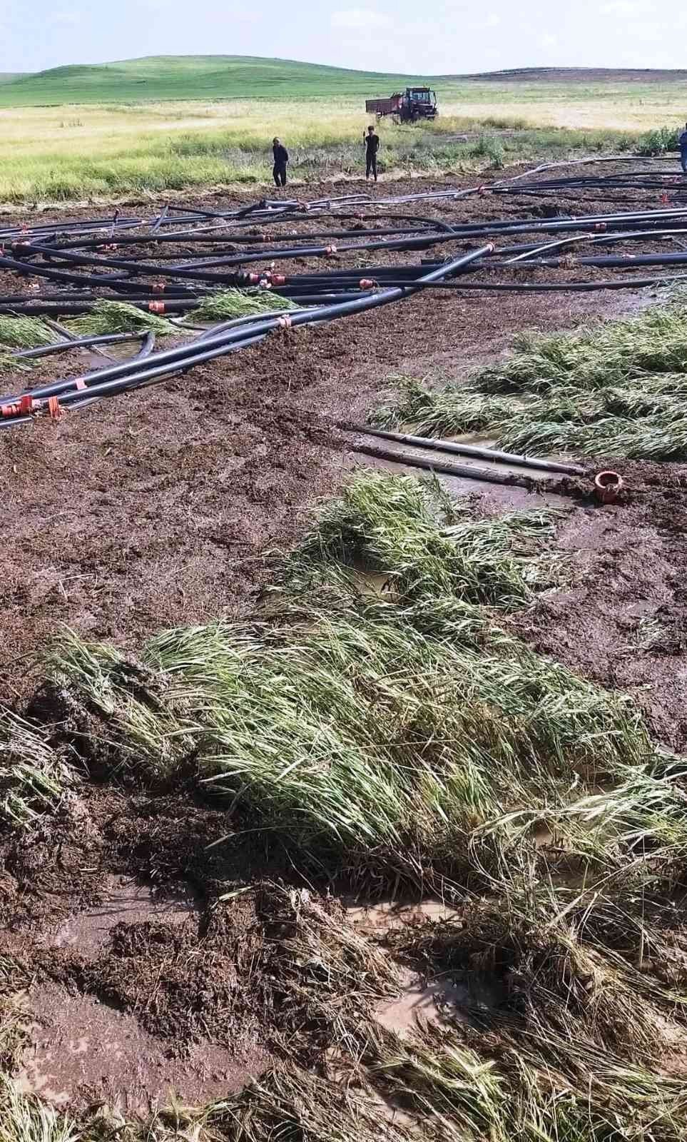 Konya'da şiddetli yağış ve dolu! Sadece bir ilçede 3 bin dekar ekili alan hasar gördü