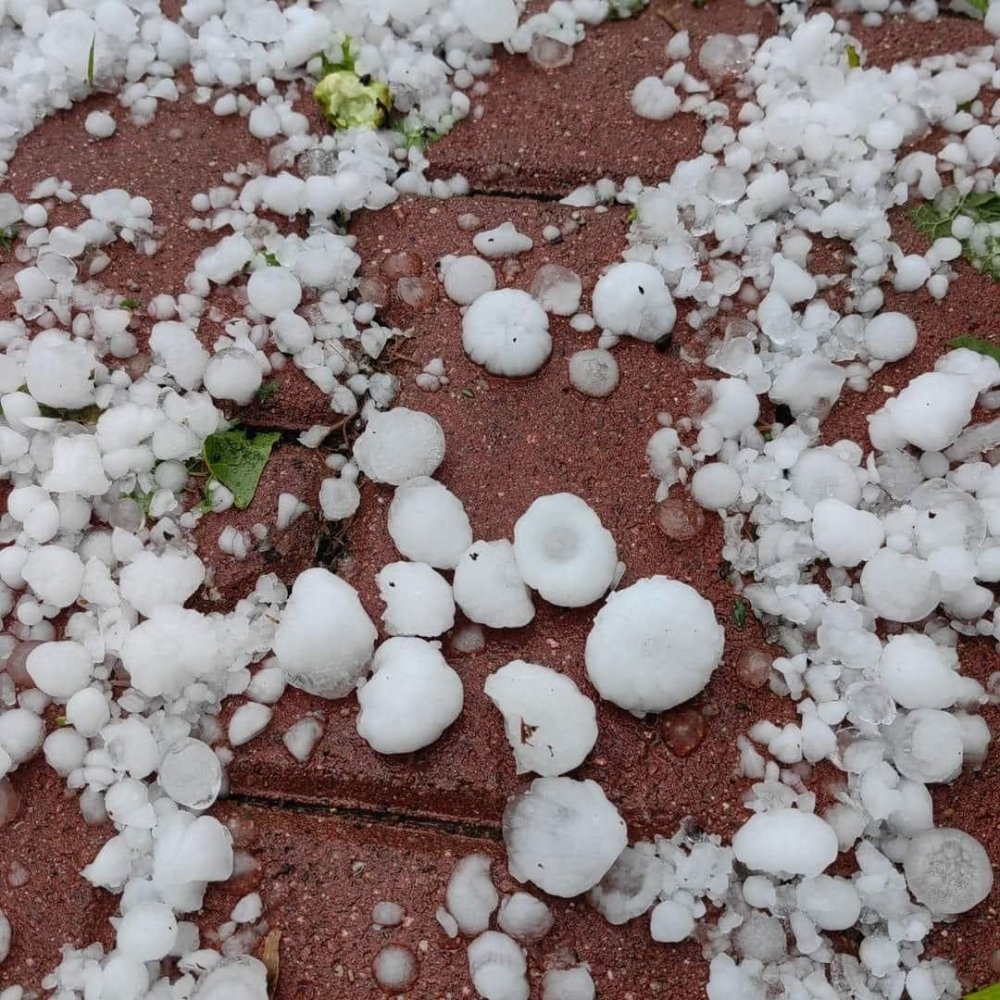 Konya'da ceviz büyüklüğünde dolu yağdı! Tarla ve meyve ağaçları zarar gördü