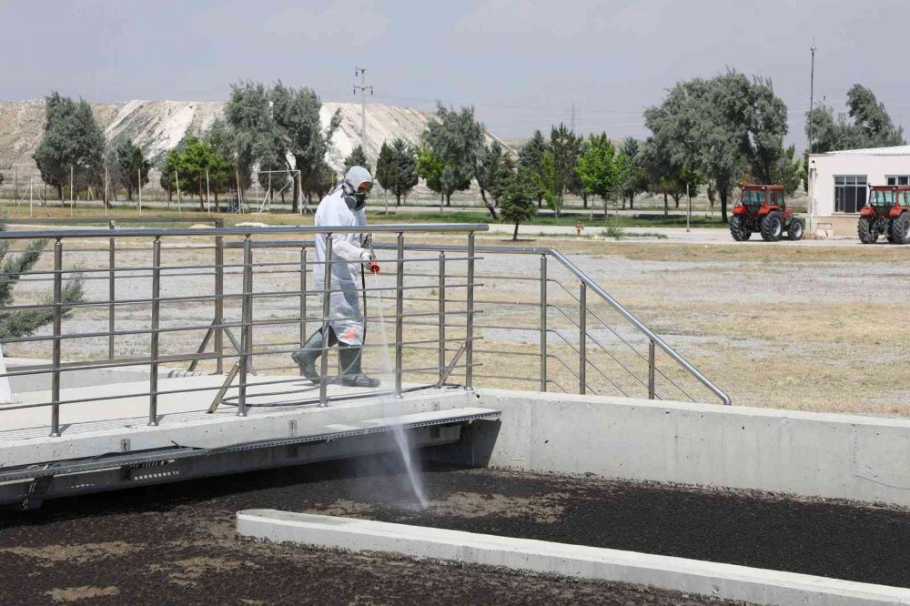 Konya'da haşereyle profesyonel mücadele! Başkan Altay'dan vatandaşa önemli uyarılar