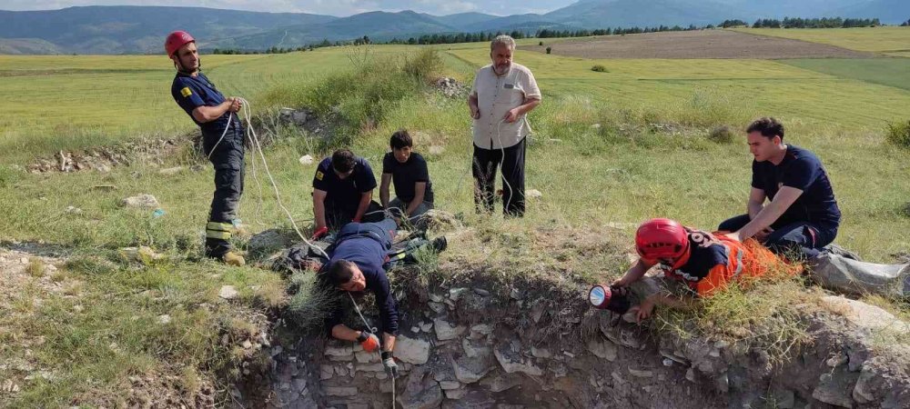 Konya Selçuklu'da defineciler 21 metrelik kuyu kazdı! Öksüz yavru 2 günde çıkarıldı