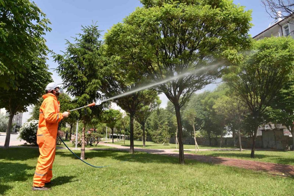 Konya'da sinek ve haşere mücadelesi devam ediyor! Doğa dengesi ve insan sağlığına zarar vermiyor