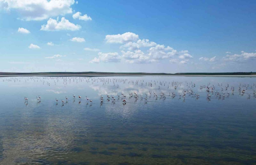 Konya'dan muhteşem manzara! Yağışların doldurduğu gölde allı turnalardan görsel şölen