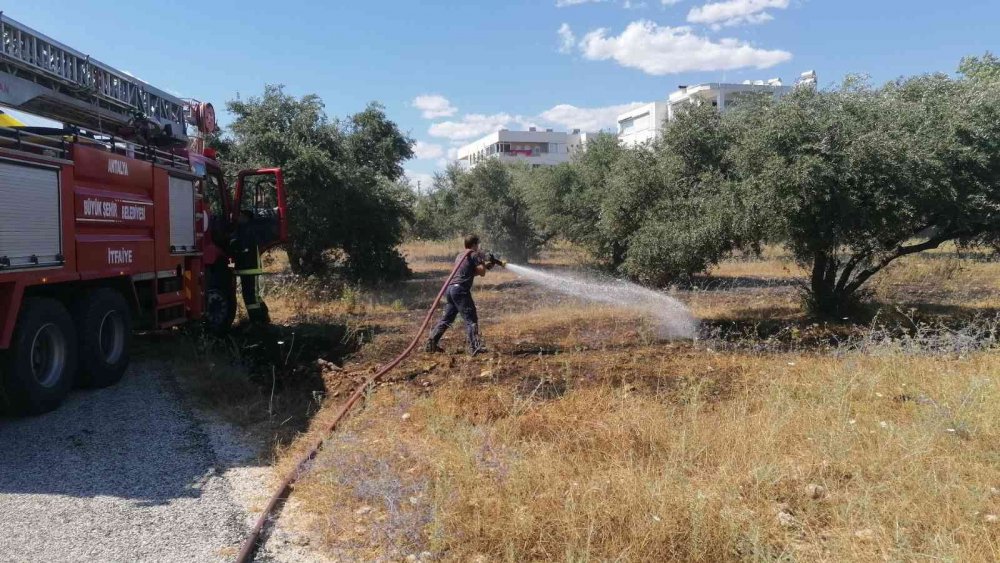 Manavgat'ta dehşet anları! İki Alman kadın turist hava büyük panik yaşadı! Elektrik telleri koptu yangın çıktı