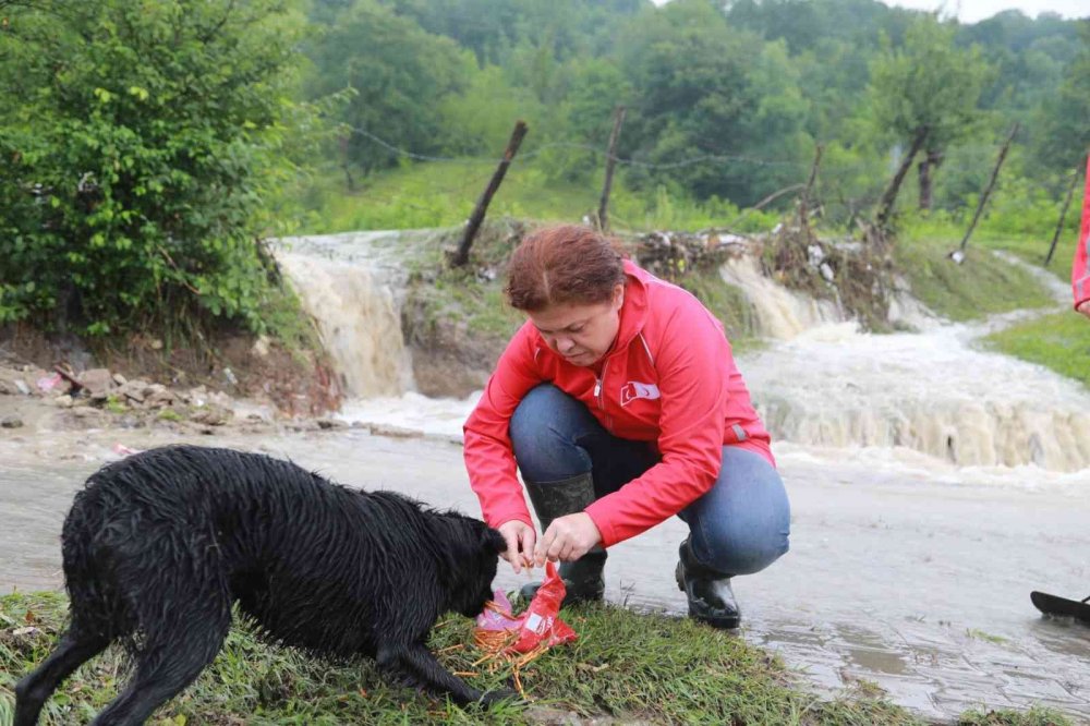 Kızılay ekipleri sel felaketine destek için afet bölgesinde
