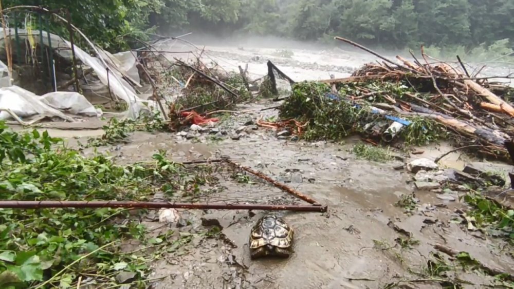 Karabük Yenice’de büyük yıkım! Bakan Yanık sel afet bölgesinde
