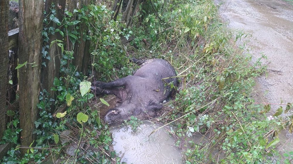 Karabük Yenice’de büyük yıkım! Bakan Yanık sel afet bölgesinde
