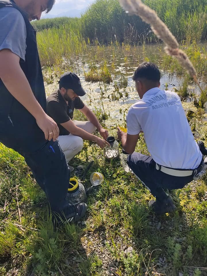 Konya'da yasa dışı ava ceza! 2 bin sülük göle geri bırakıldı