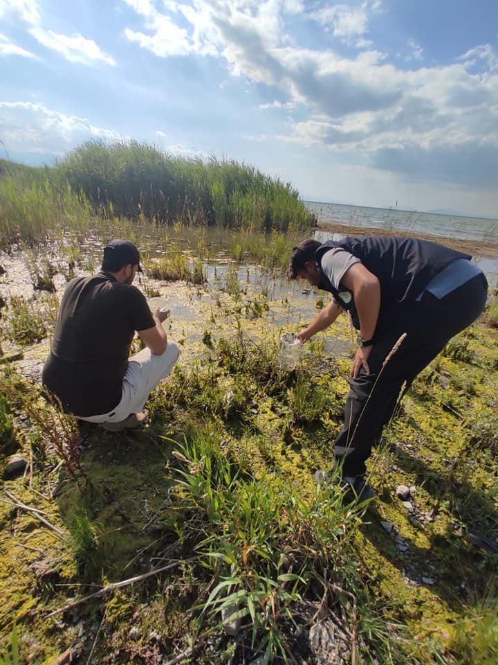 Konya'da yasa dışı ava ceza! 2 bin sülük göle geri bırakıldı