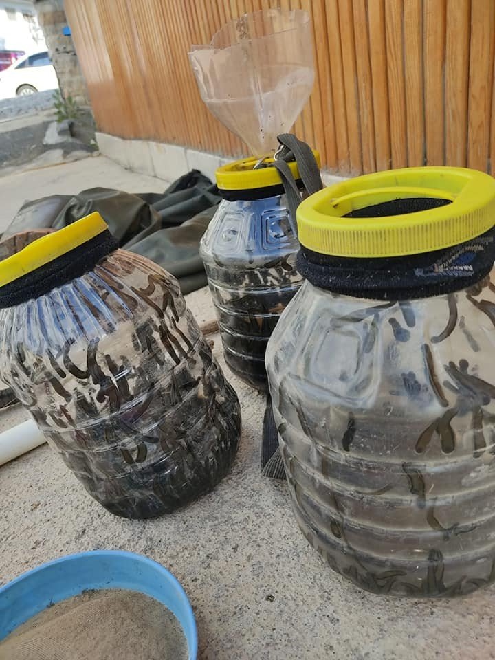 Konya'da yasa dışı ava ceza! 2 bin sülük göle geri bırakıldı