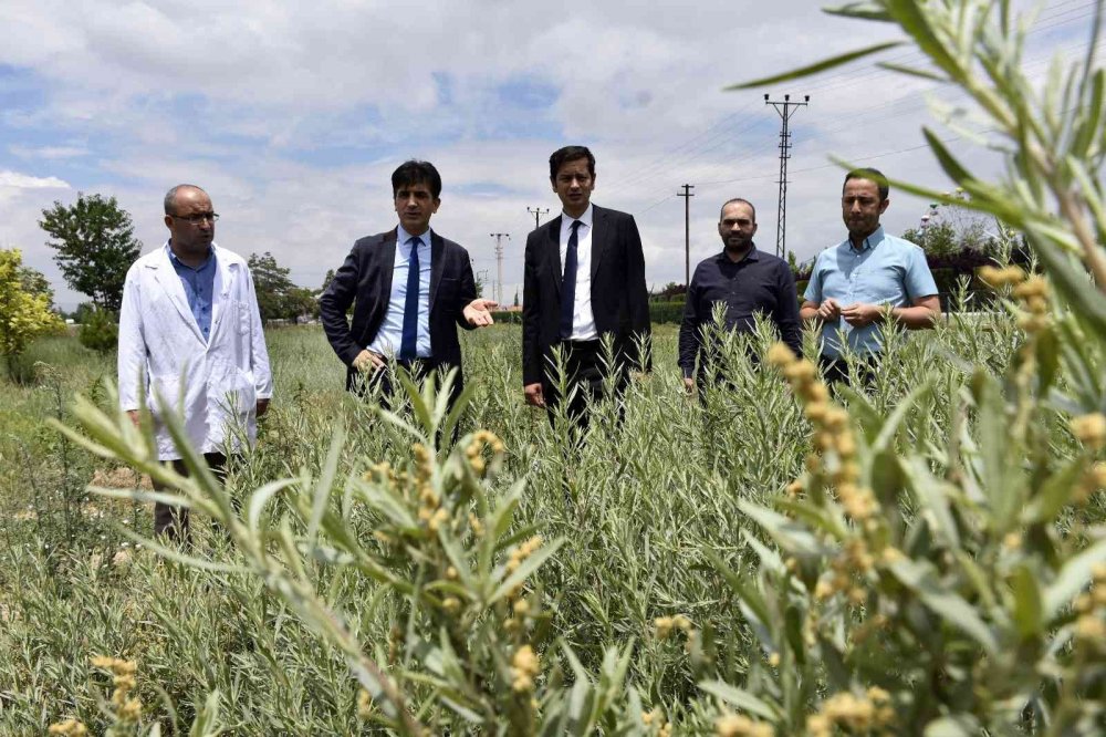 KOP Başkanı Karakoyunlu Konya'da hibe desteği verilen yatırımları inceledi!