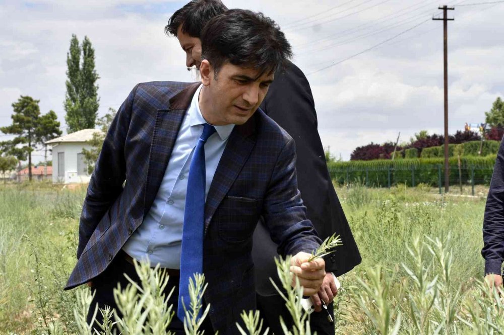 KOP Başkanı Karakoyunlu Konya'da hibe desteği verilen yatırımları inceledi!