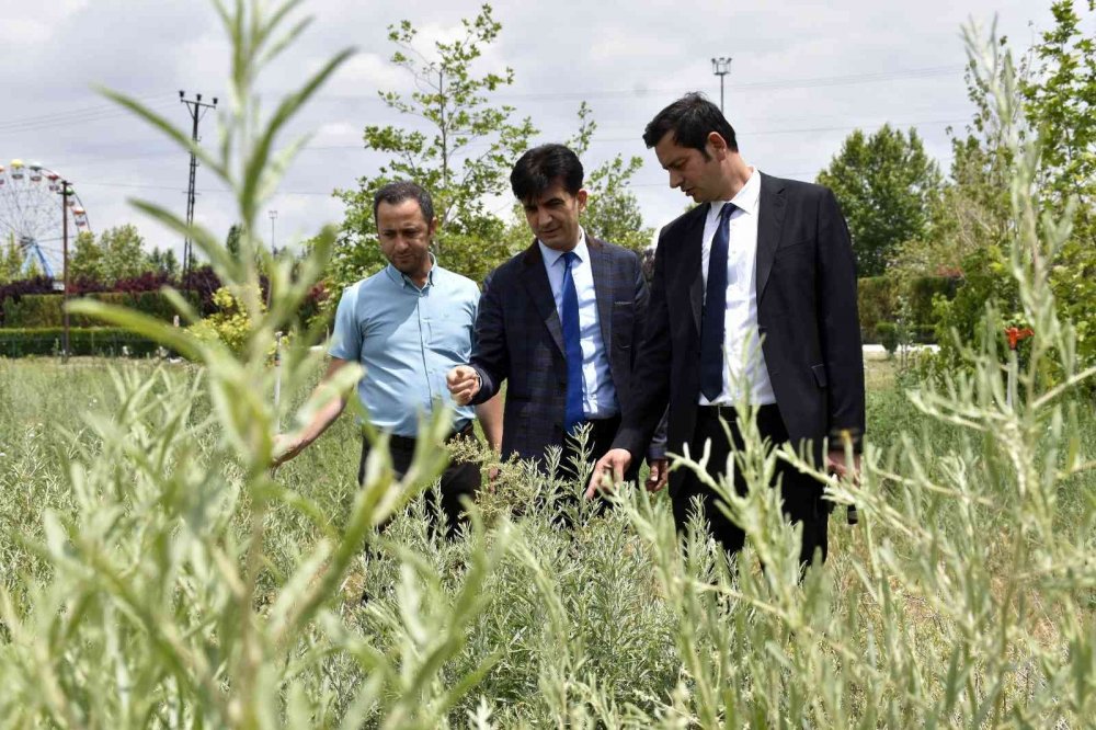 KOP Başkanı Karakoyunlu Konya'da hibe desteği verilen yatırımları inceledi!