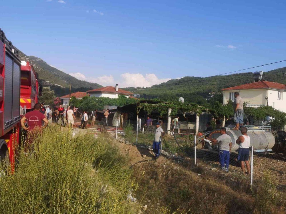 Muğla'da yürek yakan yangın! Araç küle döndü, hayvanlar alevlerden zarar gördü