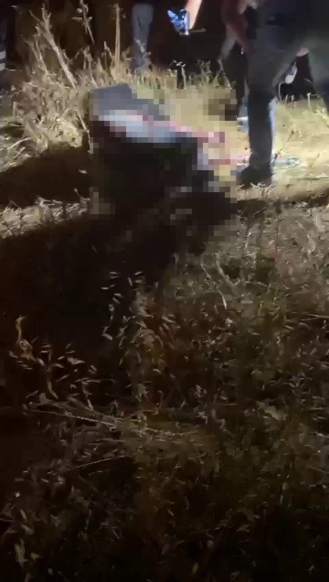 İngiliz yıldız Yazmin Oukhellou Bodrum’da yaptığı kazada ağır yaralandı! Jake Robert Mclean öldü