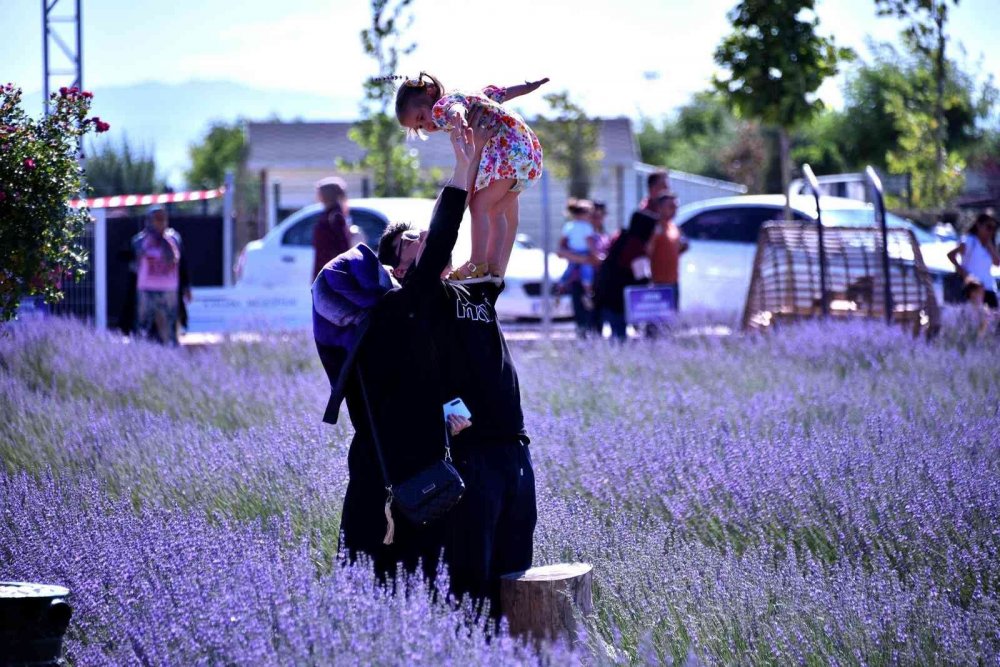 Konya'nın fotoğraf çekim mekanı kapılarını açtı! Karatay Lavanta Bahçesi'ne nasıl gidilir?