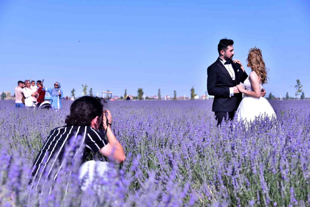 Konya'nın fotoğraf çekim mekanı kapılarını açtı! Karatay Lavanta Bahçesi'ne nasıl gidilir?