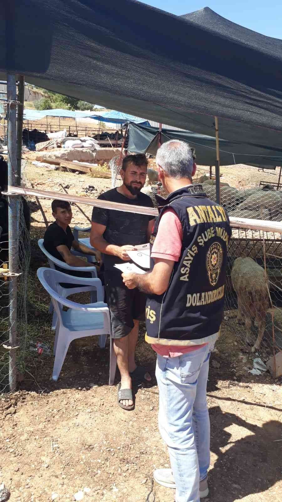 Kurban pazarlarında dolandırıcı uyarısı