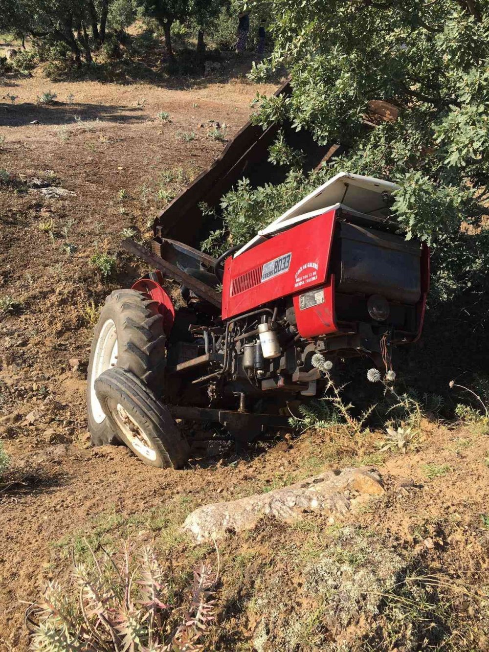 Yetiştirdiği kurbanlıkları satmaya giderken şarampole uçtu