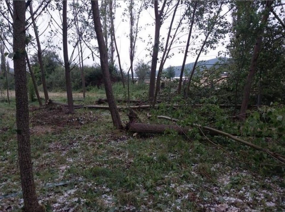 Ankara Nallıhan’da şiddetli yağış sel ve baskınlara neden oldu! Ceviz büyüklüğünde dolu yağdı