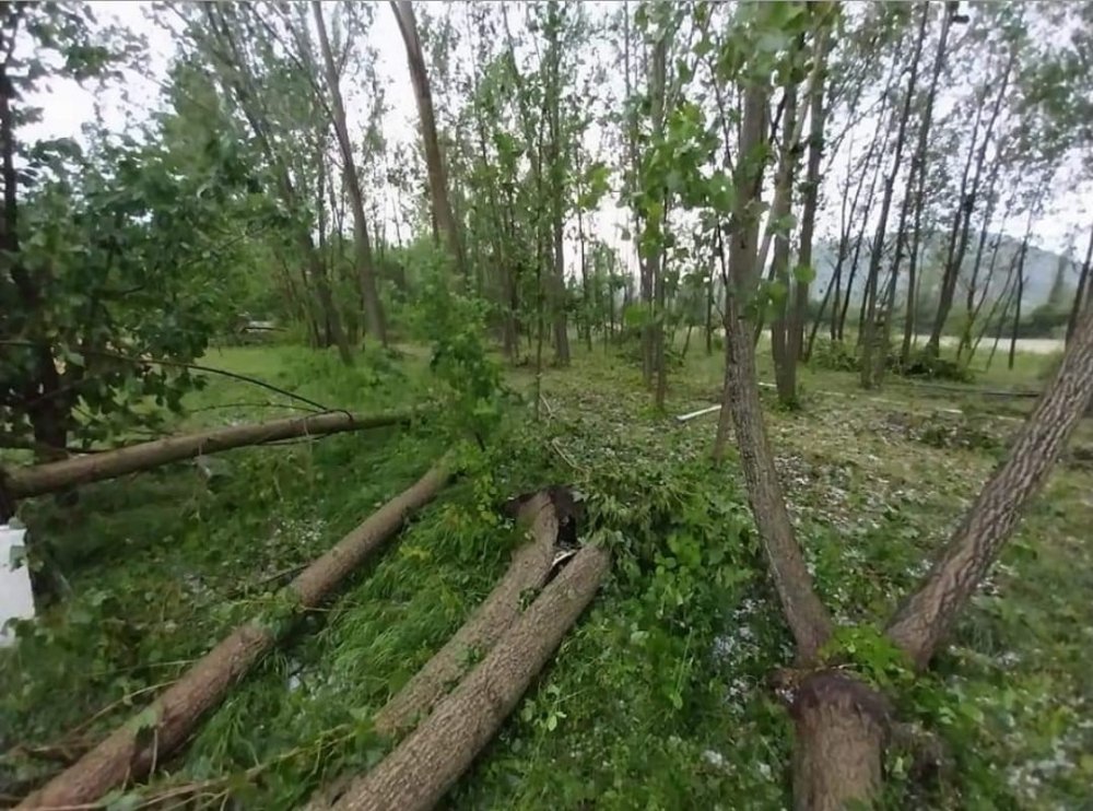 Ankara Nallıhan’da şiddetli yağış sel ve baskınlara neden oldu! Ceviz büyüklüğünde dolu yağdı