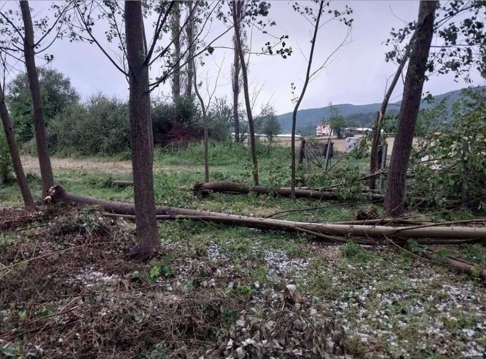 Ankara Nallıhan’da şiddetli yağış sel ve baskınlara neden oldu! Ceviz büyüklüğünde dolu yağdı
