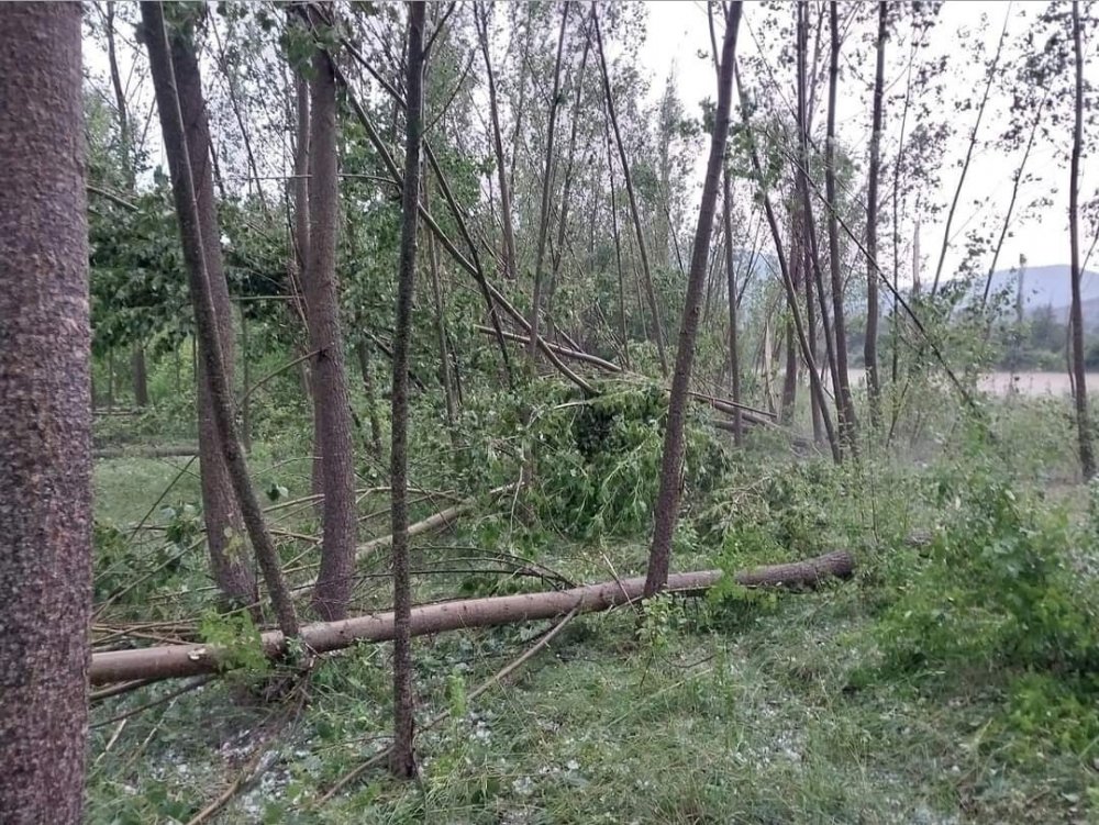 Ankara Nallıhan’da şiddetli yağış sel ve baskınlara neden oldu! Ceviz büyüklüğünde dolu yağdı