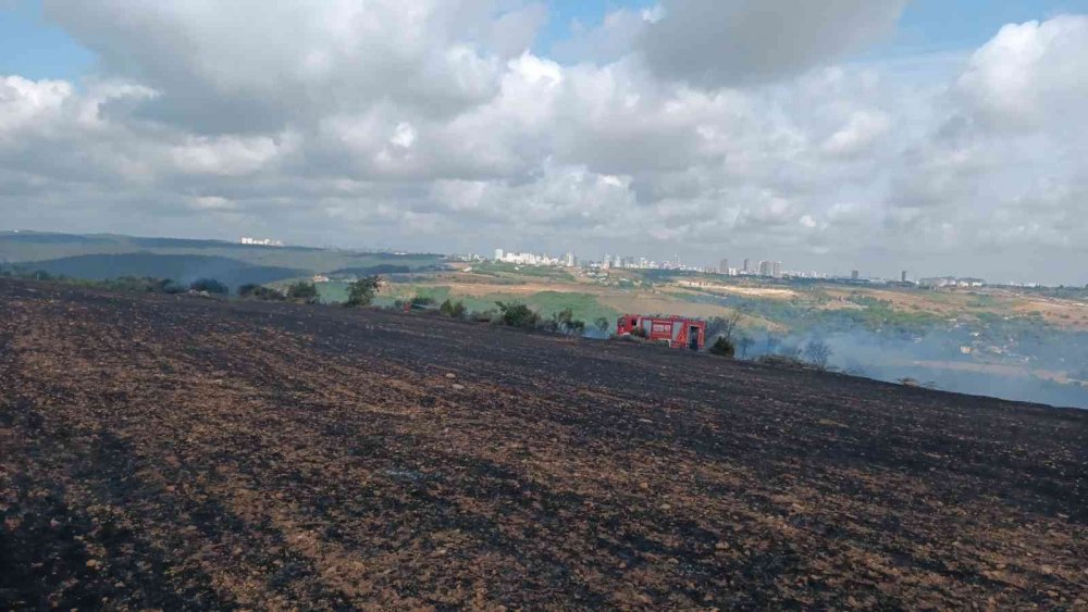İstanbul’da buğday tarlası alev alev yandı! Vatandaş isyan etti