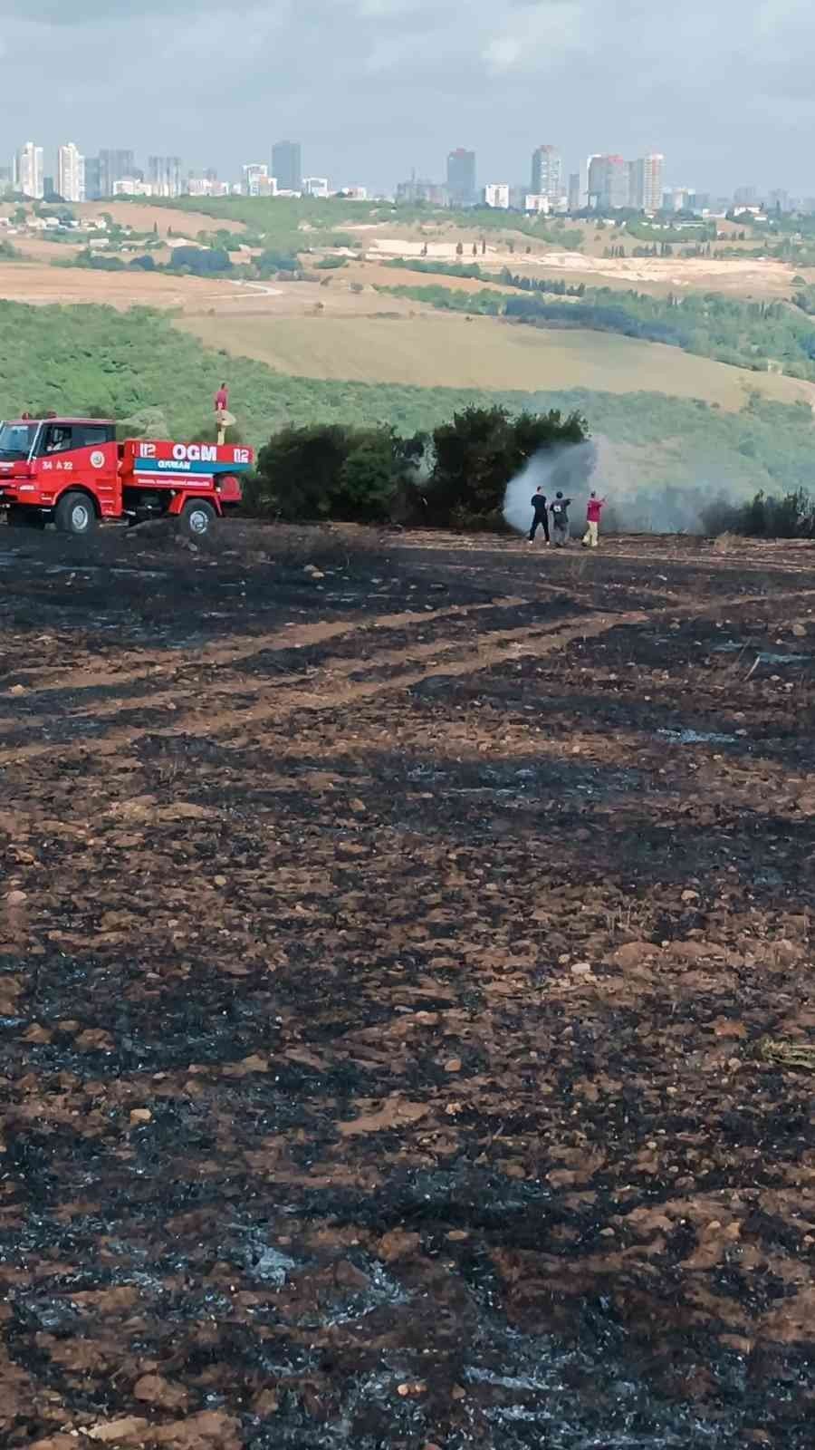 İstanbul’da buğday tarlası alev alev yandı! Vatandaş isyan etti