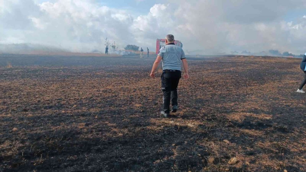 İstanbul’da buğday tarlası alev alev yandı! Vatandaş isyan etti