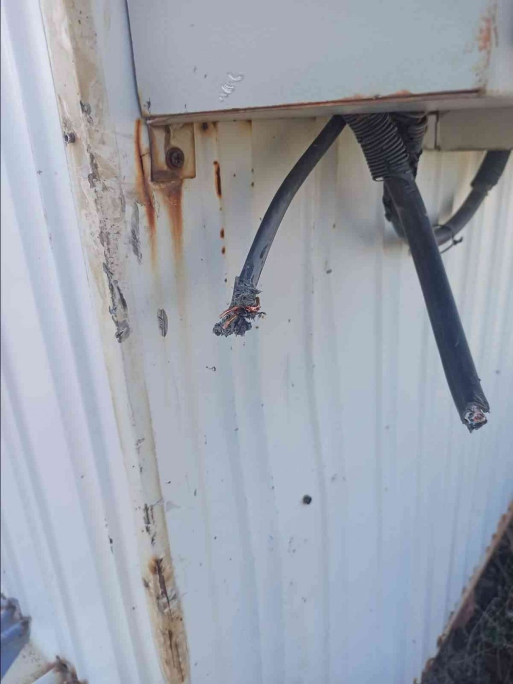 Radyo vericisinin kablolarını kesen hırsız suçüstü yakalandı